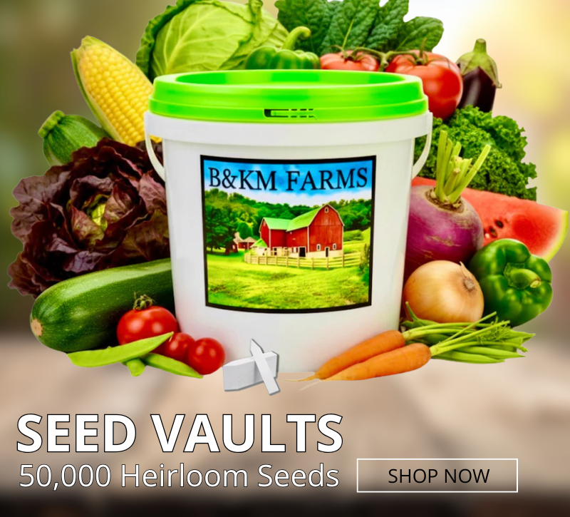 SeedVaults Seed Vaults